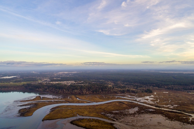 Floodplains and Estuaries